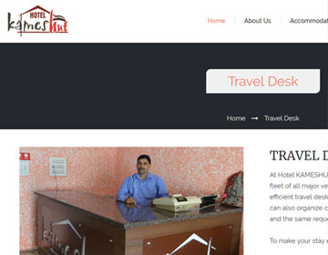Website Designing Professionals in Lucknow